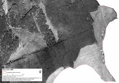 kravi_hora_lms_1955_sidlo.jpg