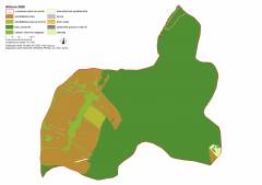 hribova_landuse_ortofoto_2020.jpg