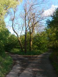 Polní cesta Polsko – Smeklo