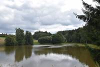Les Křižník
