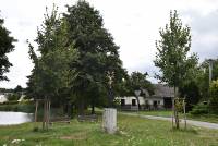 Křížky