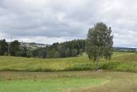 Křížky