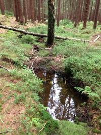 Studánka a vodní prvky v krajině obecně
