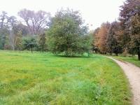 Božický mokřad a lesopark