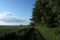 Mošnovy