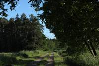 Mošnovy