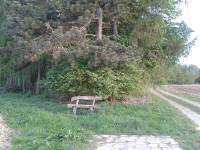 Mošnovy