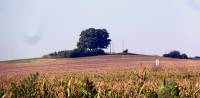Žuráň